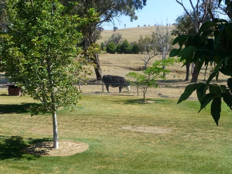 Georges Plains NSW 2795