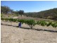 Bathurst NSW 2795