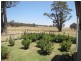 352 Old Trunk Road, Trunkey Creek NSW 2795