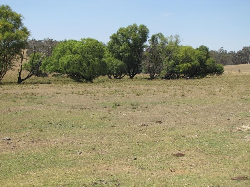 352 Old Trunk Road, Trunkey Creek NSW 2795