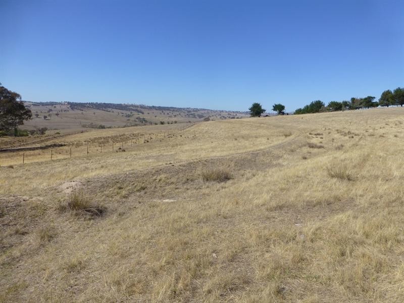 Wimbledon NSW 2795