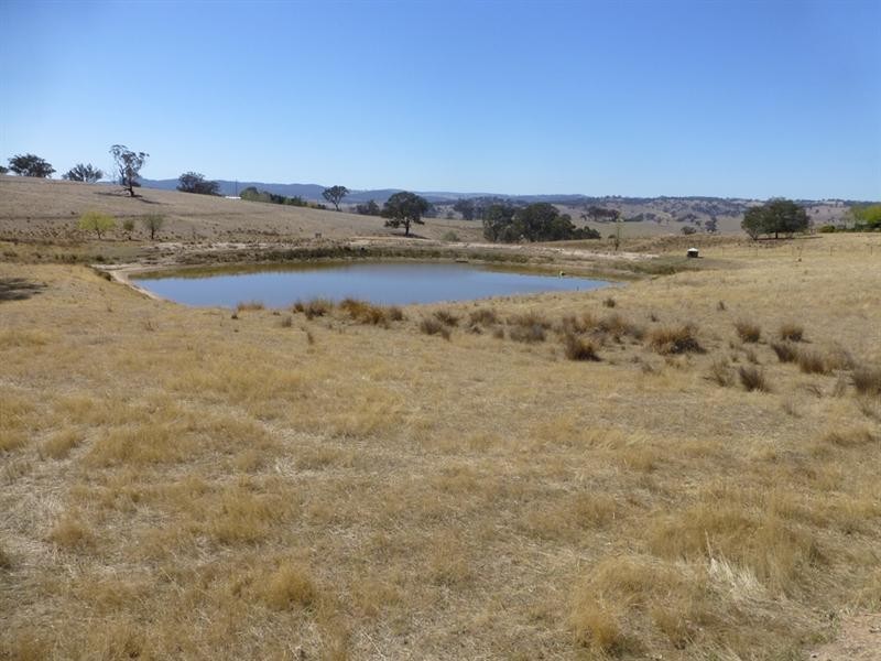 Wimbledon NSW 2795