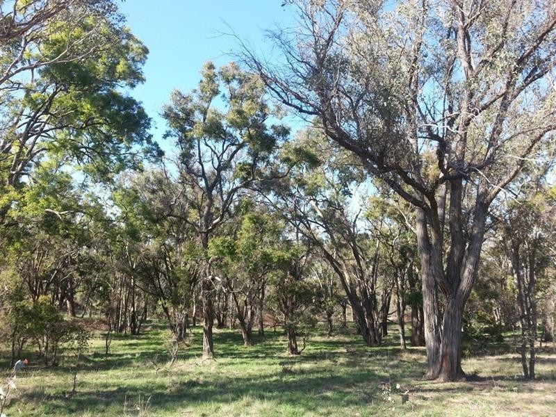 Bathurst NSW 2795