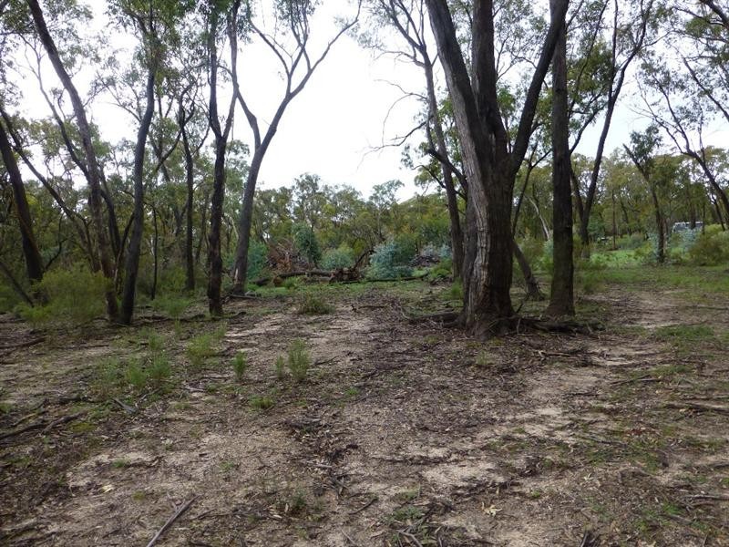 Meadow Flat NSW 2795