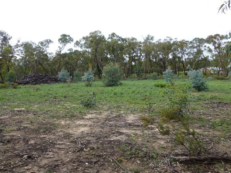 Meadow Flat NSW 2795