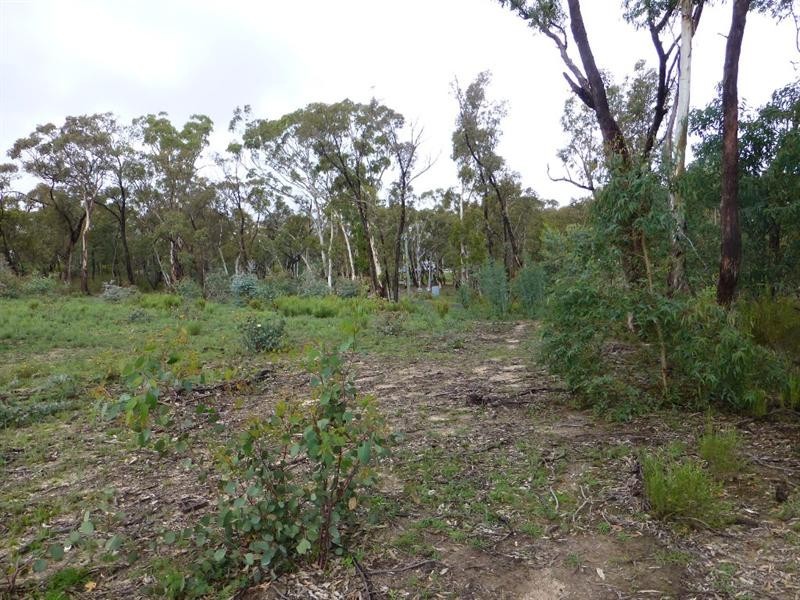 Meadow Flat NSW 2795