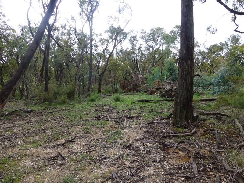 Meadow Flat NSW 2795