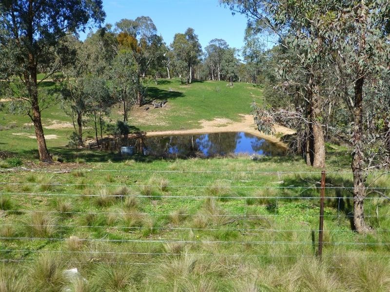 Trunkey Creek NSW 2795