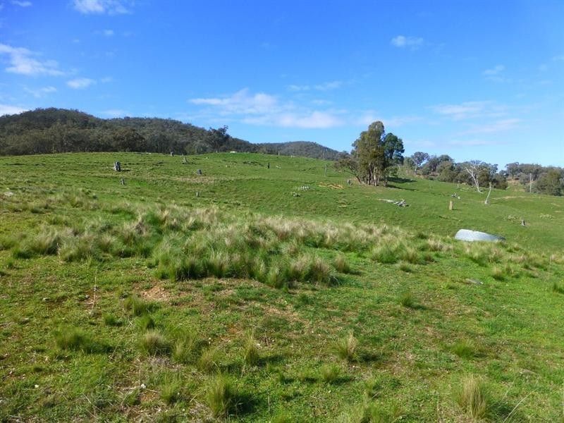 Trunkey Creek NSW 2795