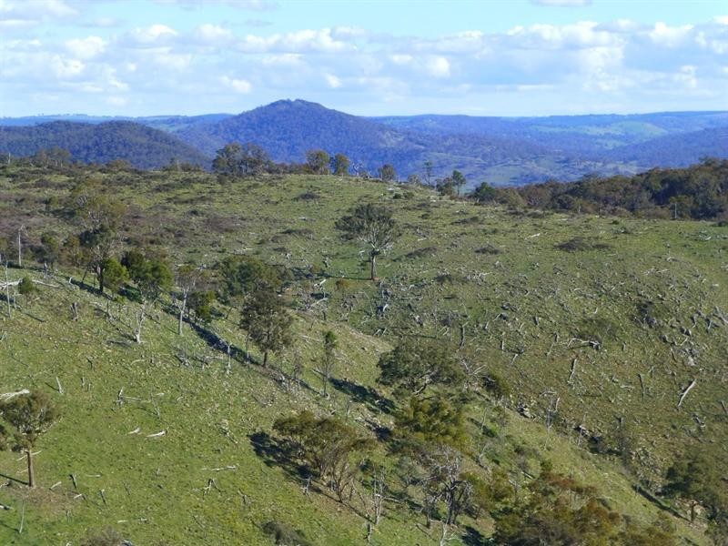 O’connell NSW 2795