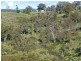 O’connell NSW 2795