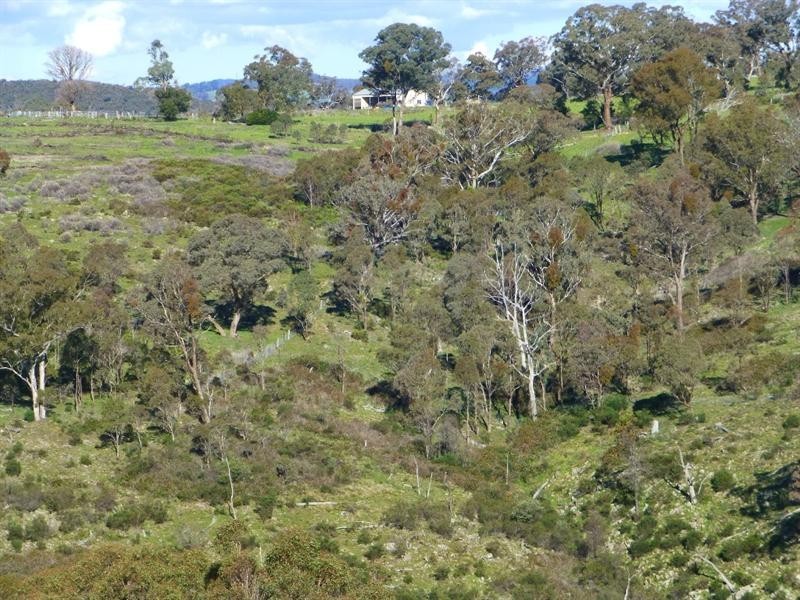 O’connell NSW 2795