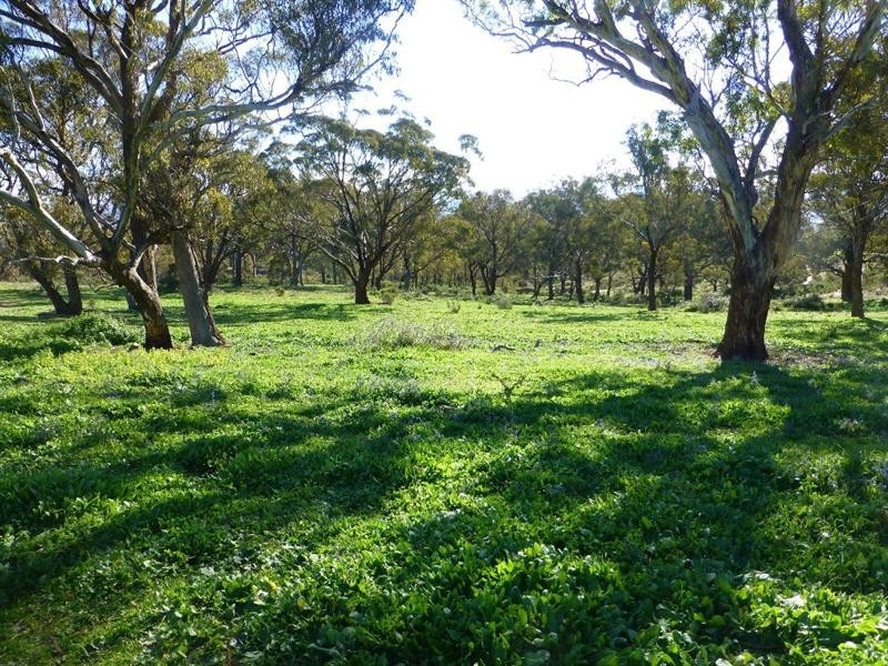 O’connell NSW 2795