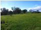 O’connell NSW 2795