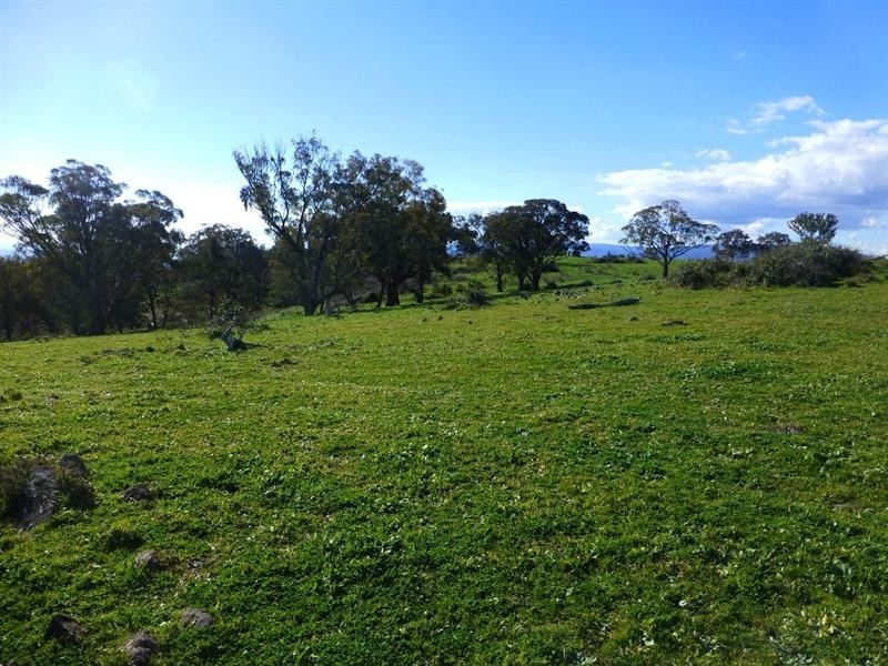 O’connell NSW 2795