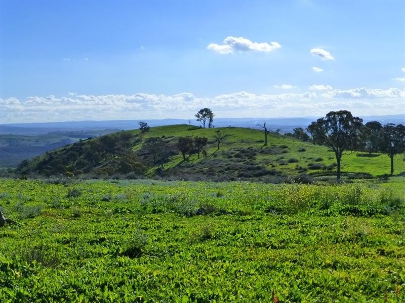 O’connell NSW 2795