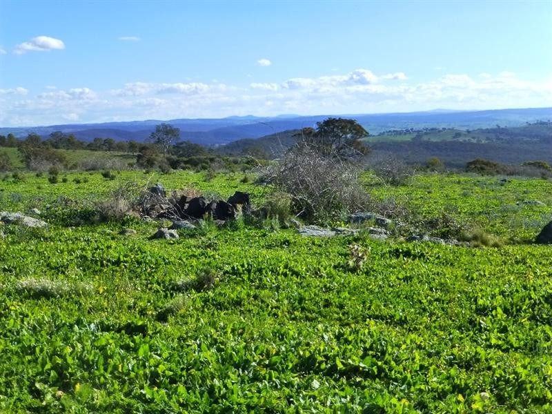O’connell NSW 2795