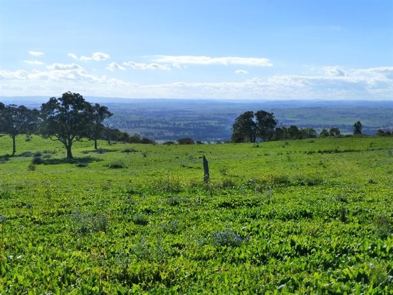O’connell NSW 2795