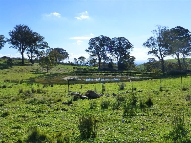 O’connell NSW 2795