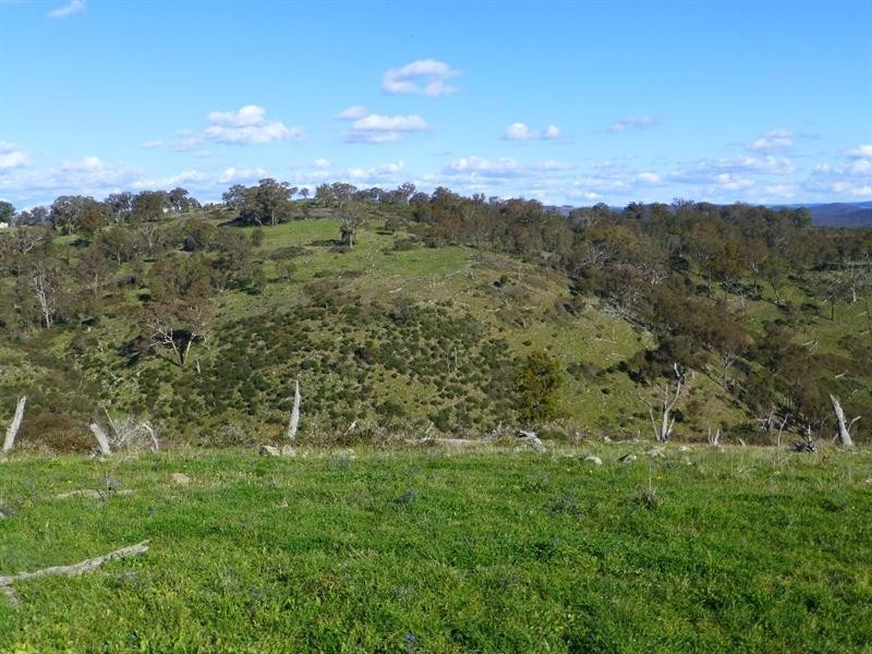 O’connell NSW 2795