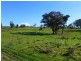 O’connell NSW 2795