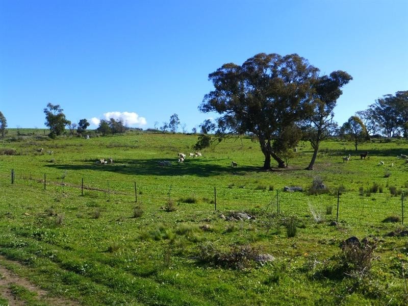 O’connell NSW 2795