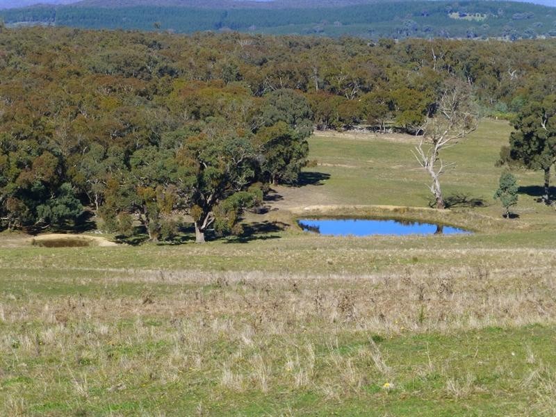 Triangle Flat NSW 2795