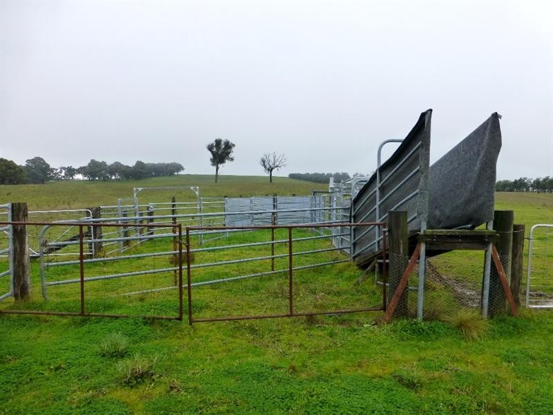 Triangle Flat NSW 2795