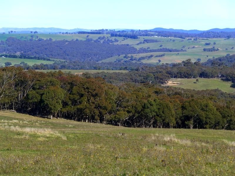 Triangle Flat NSW 2795