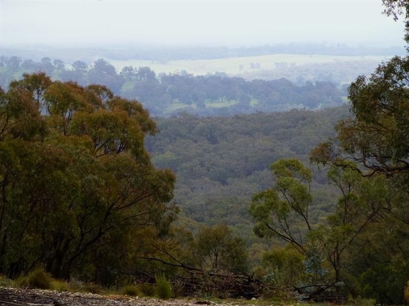 Triangle Flat NSW 2795