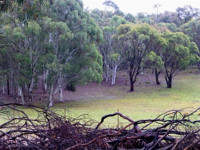 Triangle Flat NSW 2795