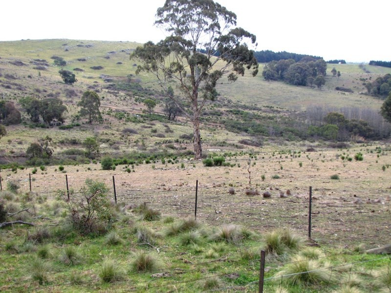 O’connell NSW 2795