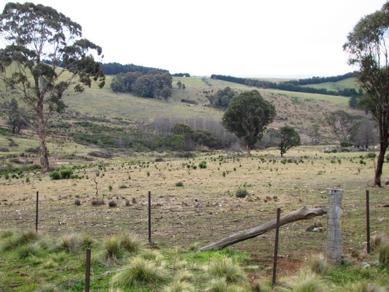 O’connell NSW 2795