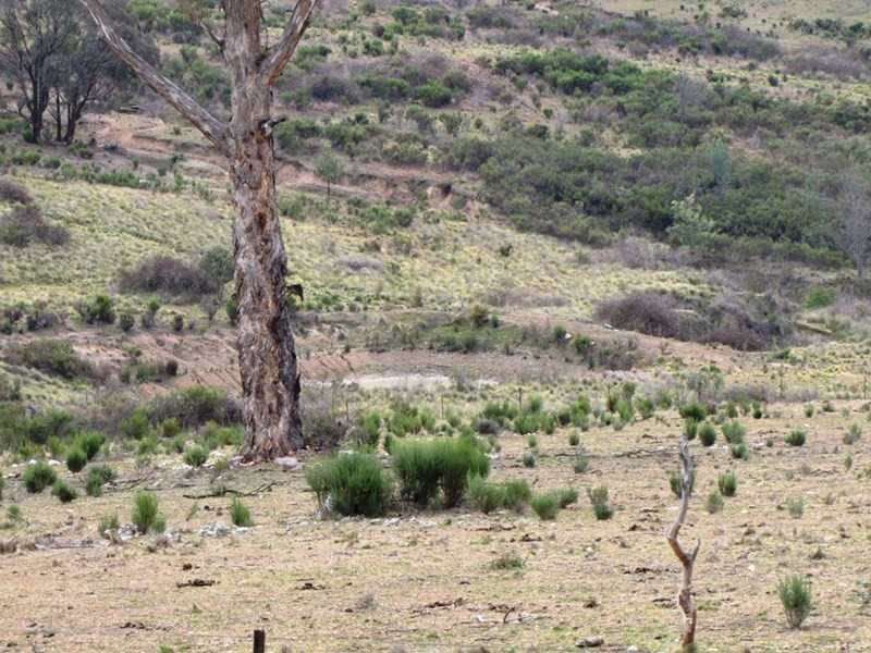 O’connell NSW 2795