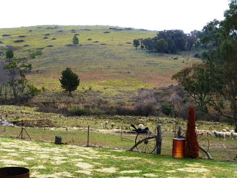 O’connell NSW 2795