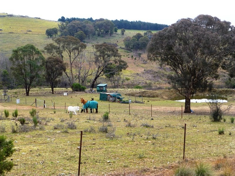 O’connell NSW 2795