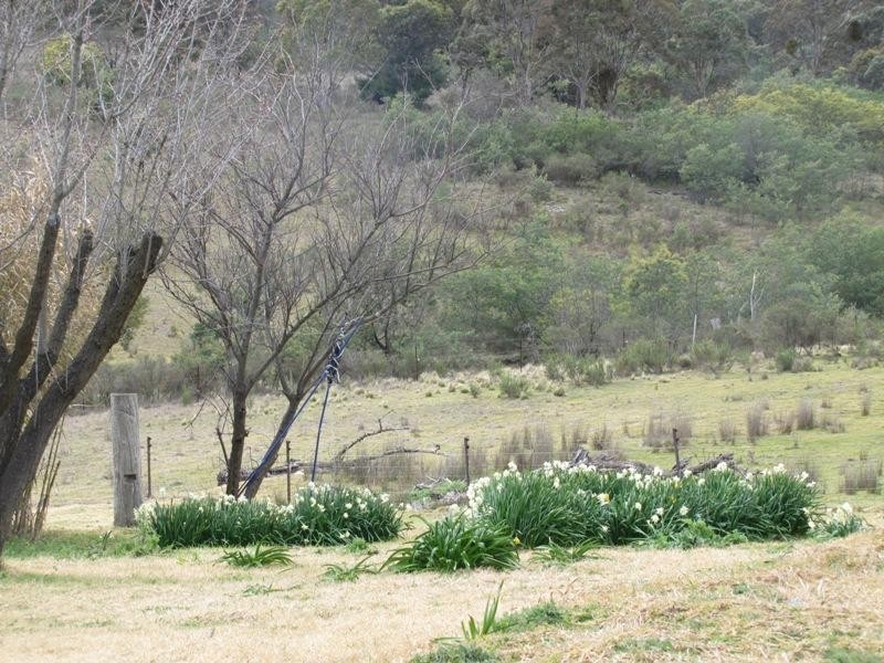 Mount Rankin NSW 2795