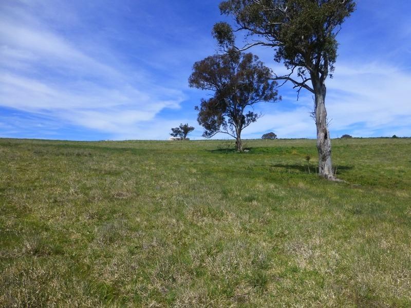 Wimbledon NSW 2795