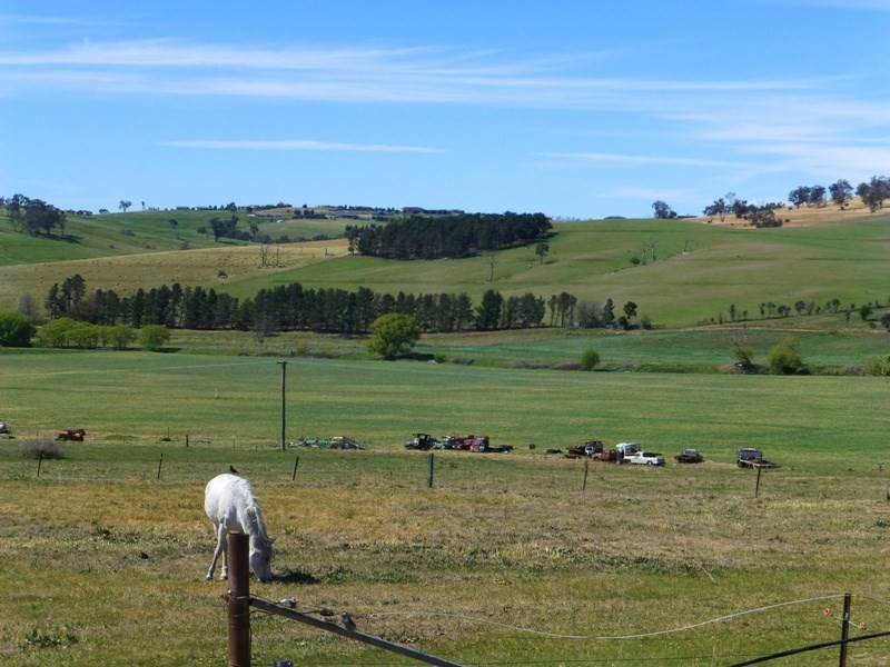 Evans Plains NSW 2795