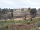 Bathurst NSW 2795