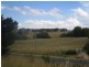 Newbridge NSW 2795