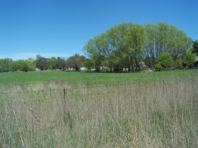Newbridge NSW 2795