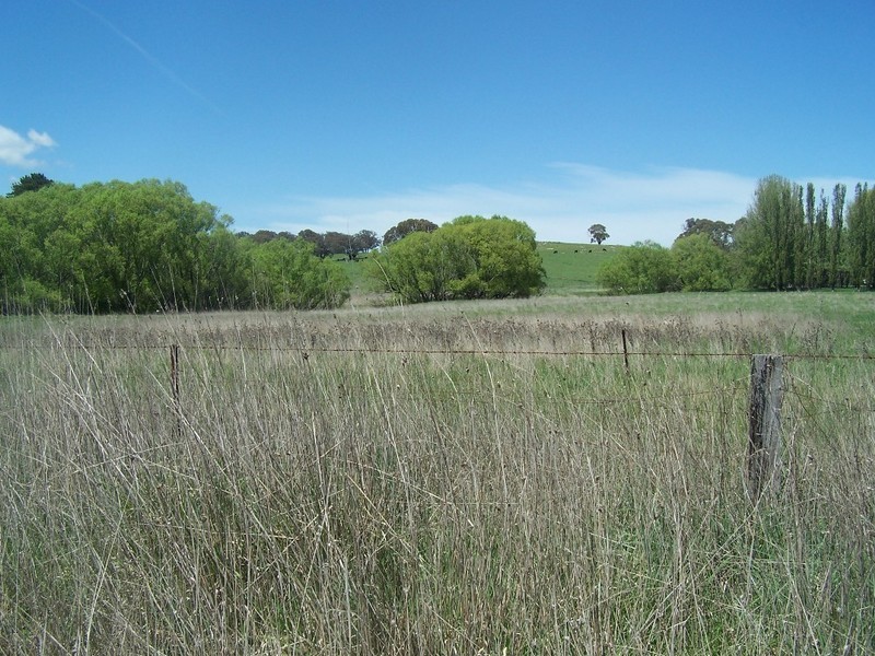 Newbridge NSW 2795