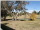 Bathurst NSW 2795