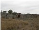 Bathurst NSW 2795