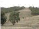 Bathurst NSW 2795