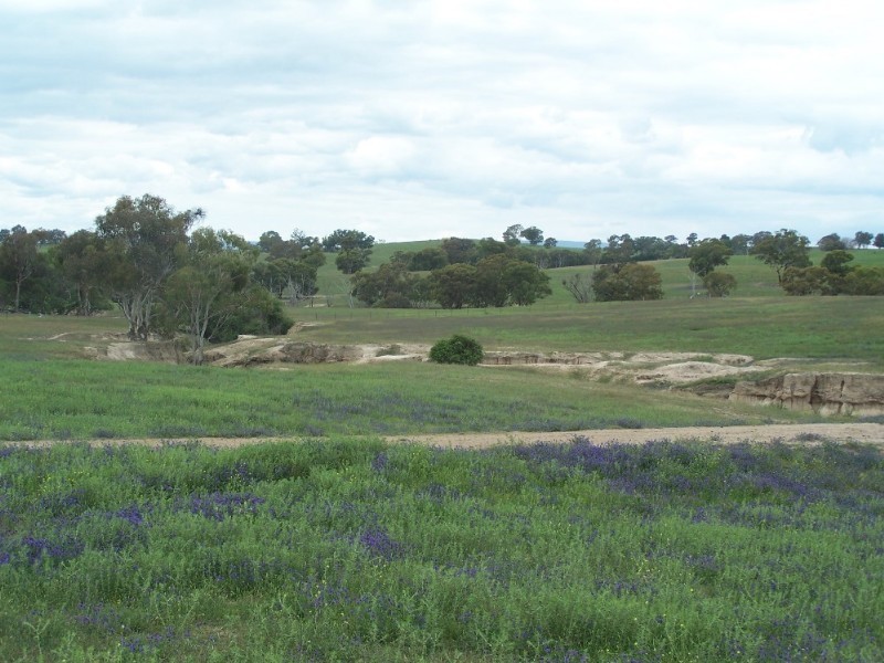 Bathurst NSW 2795