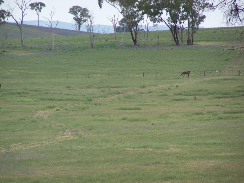 Bathurst NSW 2795