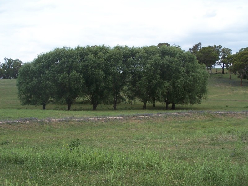 Bathurst NSW 2795