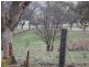 Rockley NSW 2795